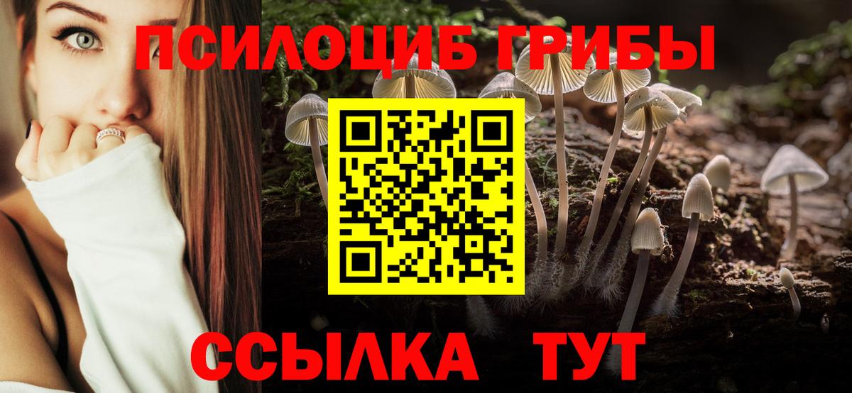 Псилоцибиновые грибы Cubensis  Вход с VPN  где купить наркотик  Усть-Джегута 